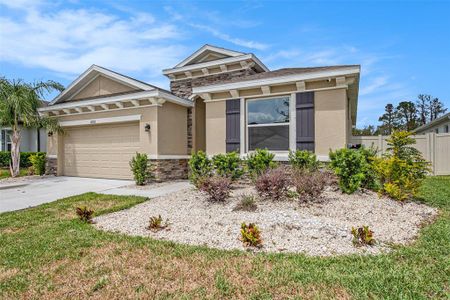 New construction Single-Family house 12031 Orchid Ash Street, Riverview, FL 33579 - photo 5 5