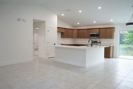 New construction Single-Family house 1407 19Th Street, Orange City, FL 32763 - photo 2 2