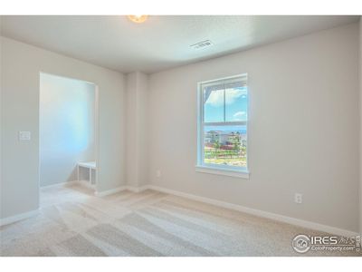 New construction Single-Family house 1833 Windfall Dr, Windsor, CO 80550 Plan C407- photo