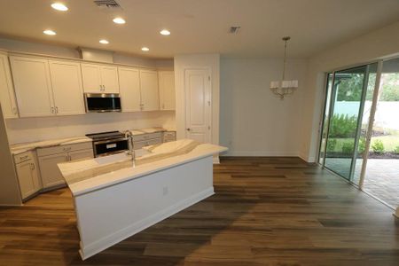 New construction Single-Family house 3523 Wild Blossom Place, Parrish, FL 34219 Arlington- photo