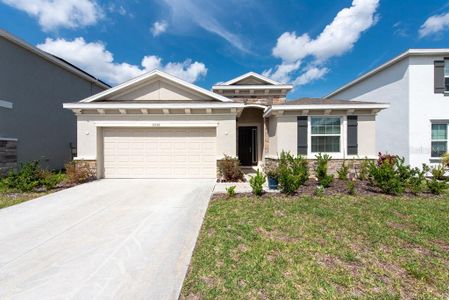 New construction Single-Family house 13136 Brookside Moss Drive, Riverview, FL 33579 - photo 0 0