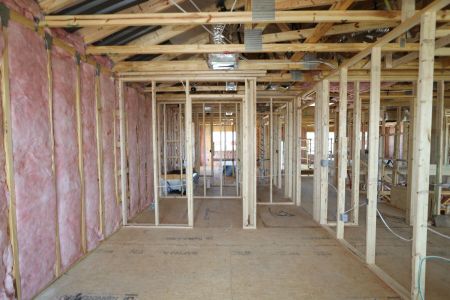 New construction Single-Family house 31810 Sapna Chime Drive, Wesley Chapel, FL 33545 Mira Lago- photo 50 50