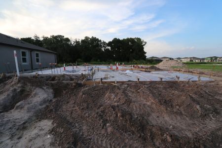 New construction Single-Family house 5046 Bromeliad Avenue, Wimauma, FL 33598 Mira Lago- photo 6 6