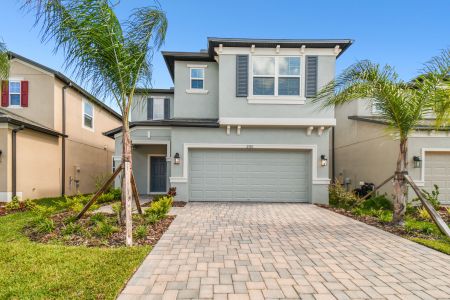 New construction Single-Family house 2501 Sunny Pebble Loop, Zephyrhills, FL 33540 Castellana- photo 0