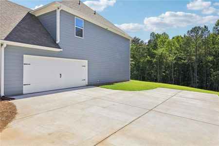 New construction Single-Family house 199 Sagebrook Lane, Newnan, GA 30263 - photo 51 51