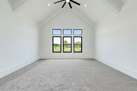 New construction Single-Family house 7306 Welch Court Court, Needville, TX 77461 - photo 17 17