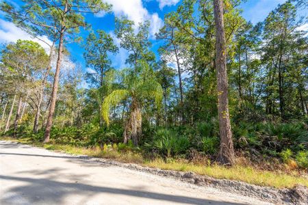 New construction Single-Family house 1449 East Parkway, Deland, FL 32724 - photo 1 1