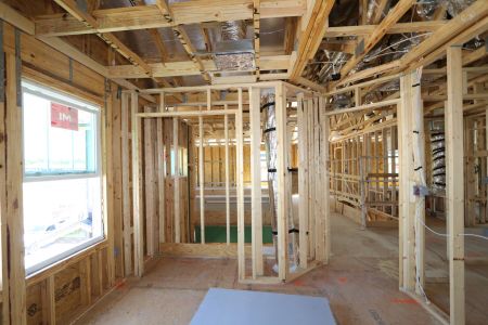 New construction Single-Family house 33202 Amling Pecan Branch, Wesley Chapel, FL 33545 Coronado II- photo 18 18