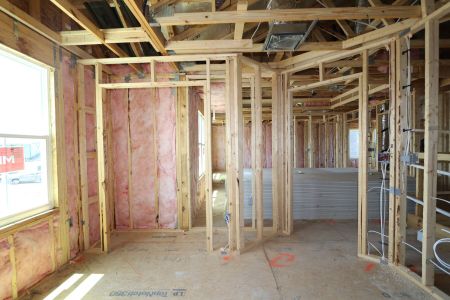 New construction Single-Family house 33251 Amling Pecan Branch, Wesley Chapel, FL 33545 Santa Monica- photo 41 41