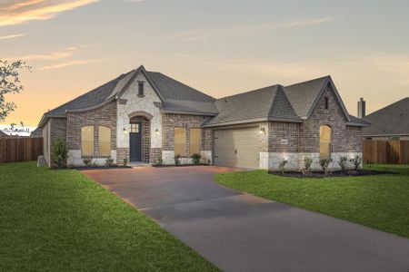 New construction Single-Family house 12709 Ruger Road, Godley, TX 76044 Concept 2267- photo 9 9