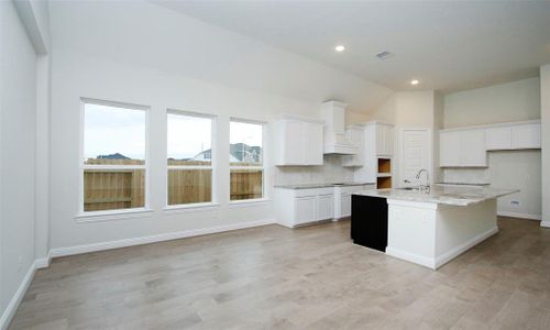 New construction Single-Family house 2429 Seaglass Terrace Drive, Katy, TX 77493 Villanova- photo 18 18