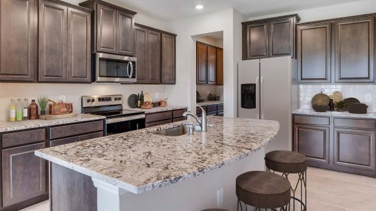 New construction Single-Family house 11083 Laxer Cay Loop, San Antonio, FL 33576 - photo 5 5