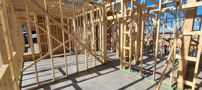 New construction Single-Family house 104 Pinyon Pine Pass, Hutto, TX 78634 Livingston Homeplan- photo 20 20