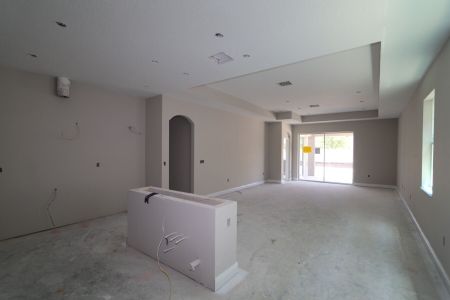 New construction Single-Family house 1787  Clary Sage, Spring Hill, FL 34609 Newport II- photo 22 22