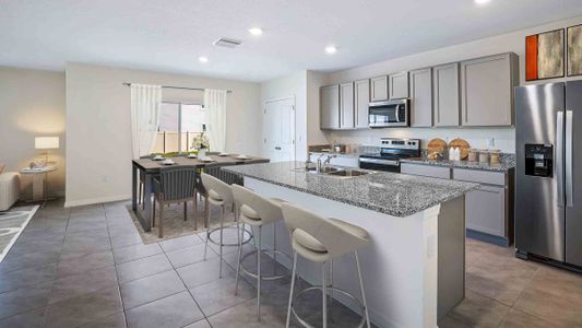 New construction Single-Family house 11083 Laxer Cay Loop, San Antonio, FL 33576 - photo 3 3