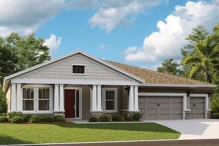 New construction Single-Family house 6241 Hidden Branch Drive, Apollo Beach, FL 33572 - photo 0