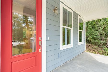 New construction Single-Family house 916 Dills Bluff Road, Charleston, SC 29412 - photo 3 3