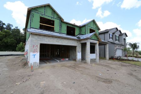 New construction Single-Family house 2530 Sunny Pebble Loop, Zephyrhills, FL 33540 Salinas- photo 17 17