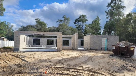 New construction Single-Family house 3388 Sw 165Th Loop, Ocala, FL 34473 - photo 17 17