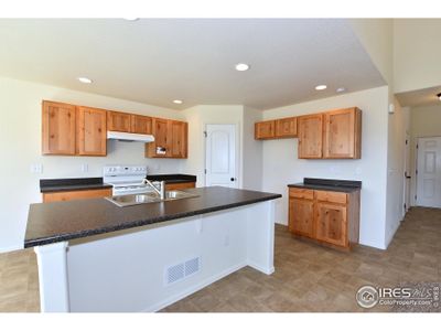 New construction Single-Family house 2333 Graceful St, Windsor, CO 80550 The New Jersey- photo 13 13