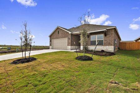 New construction Single-Family house 16520 Moineau Drive, Austin, TX 78738 - photo 4 4