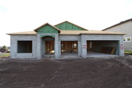 New construction Single-Family house 2941 Marine Grass Drive, Wimauma, FL 33598 Barcello- photo 10 10