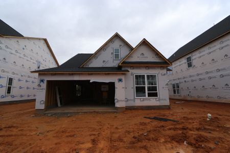 New construction Single-Family house 3114 Armeria Drive, Apex, NC 27502 Crabtree - Signature Collection- photo 13 13