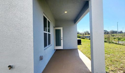 New construction Single-Family house 504 Viceroy Ct, Kissimmee, FL 34758 - photo 19 19