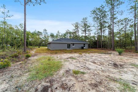 New construction Single-Family house 131 Nw Commodore Road, Dunnellon, FL 34431 - photo 3 3