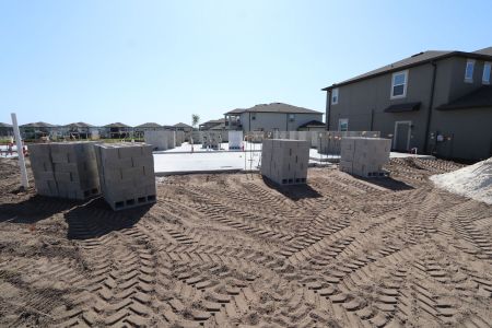 New construction Single-Family house 9464 Seagrass Port Pass, Wesley Chapel, FL 33545 Barcello Bonus- photo 7 7