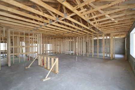 New construction Single-Family house 9465 Crescent Ray Drive, Wesley Chapel, FL 33545 Barcello- photo 12 12
