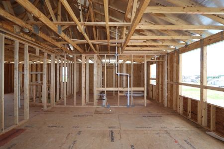 New construction Single-Family house 31870 Sapna Chime Drive, Wesley Chapel, FL 33545 Casanova- photo 21 21