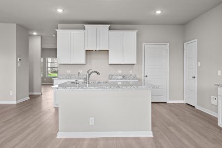 New construction Single-Family house 4242 Southton Forest, San Antonio, TX 78223 - photo 20 20