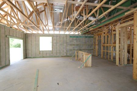 New construction Single-Family house 2530 Sunny Pebble Loop, Zephyrhills, FL 33540 Salinas- photo 35 35