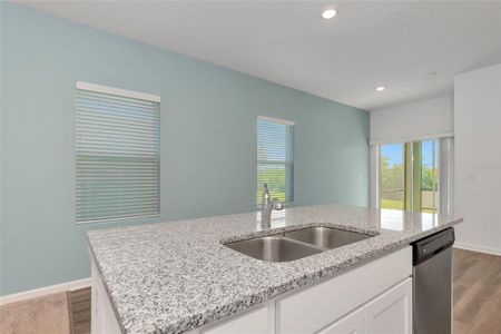 New construction Single-Family house 768 Sunlit Coral Street, Ruskin, FL 33570 - photo 6 6