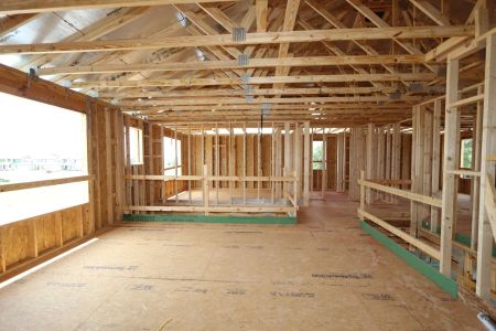 New construction Single-Family house 9611 Crescent Ray Drive, Wesley Chapel, FL 33545 Dali- photo 20 20