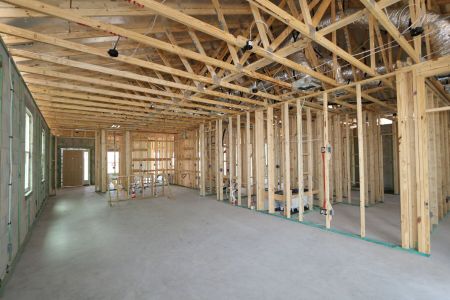 New construction Single-Family house 31843 Sapna Chime Drive, Wesley Chapel, FL 33545 Picasso- photo