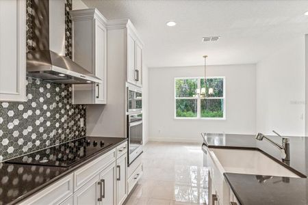 New construction Single-Family house 13224 Peaceful Melody Drive, Winter Garden, FL 34787 - photo 9 9