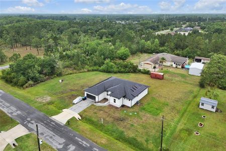 New construction Single-Family house 19415 Oakleaf Street, Orlando, FL 32833 - photo 17 17