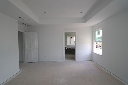 New construction Single-Family house 2463 Sunny Pebble Loop, Zephyrhills, FL 33540 Castellana- photo 73 73