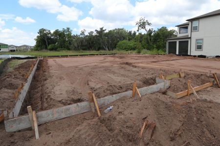 New construction Single-Family house 4908 Eagle Rock Drive, Wimauma, FL 33598 Barcello- photo 2 2