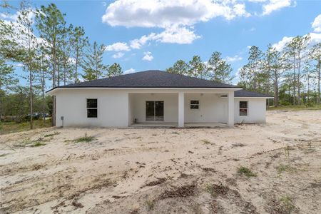 New construction Single-Family house 13359 Sw 80Th Street, Dunnellon, FL 34432 - photo 35 35