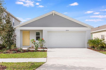 New construction Single-Family house 12938 Pondside Place, Lithia, FL 33547 Alicante- photo 0