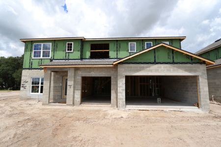 New construction Single-Family house 9611 Crescent Ray Drive, Wesley Chapel, FL 33545 Dali- photo 32 32
