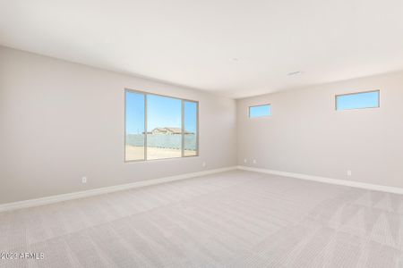New construction Single-Family house 29524 N 223Rd Drive, Wittmann, AZ 85361 - photo 19 19