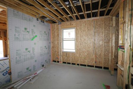 New construction Single-Family house 3207 Drago Dr, Round Rock, TX 78665 Alpine- photo 24