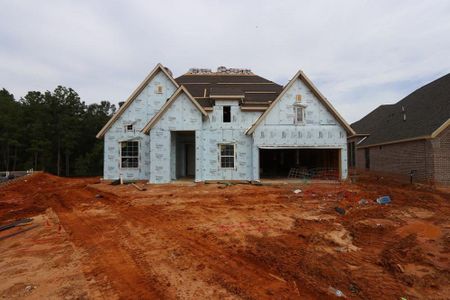 New construction Single-Family house 434 Paintbrush Meadows Drive, Willis, TX 77318 The Birkshire- photo 7 7
