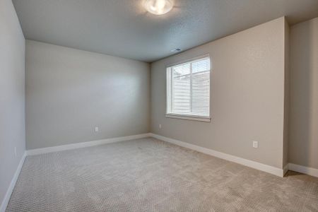New construction Townhouse house 6248 Vernazza Way, Windsor, CO 80550 - photo 55 55
