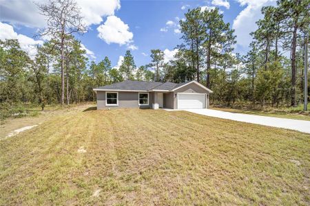 New construction Single-Family house 117 Nw Sparrow Road, Dunnellon, FL 34431 - photo 57 57