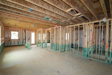 New construction Single-Family house 450 Cherry Laurel Drive, Oak Point, TX 75068 Maestro- photo 16 16
